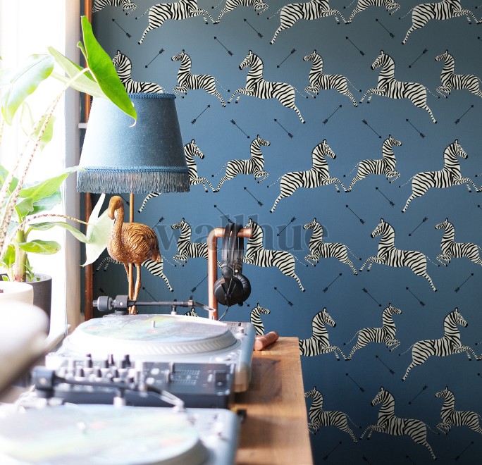 Wildlife Zebra with Arrows Wallpaper Mural