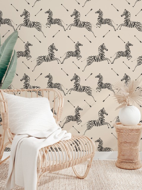 Wildlife Zebra with Arrows Wallpaper Mural