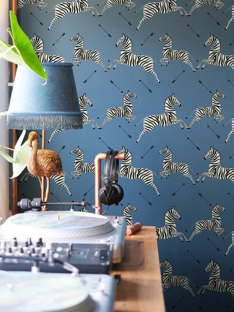 Wildlife Zebra with Arrows Wallpaper Mural