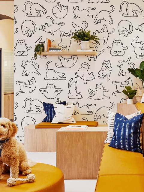 Charming Yoga Kittens Pattern  Wallpaper Mural