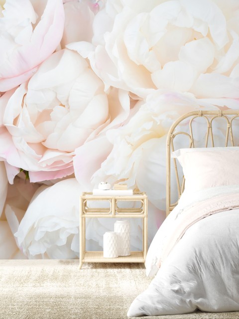 Soft Blushing Peony Wallpaper Mural