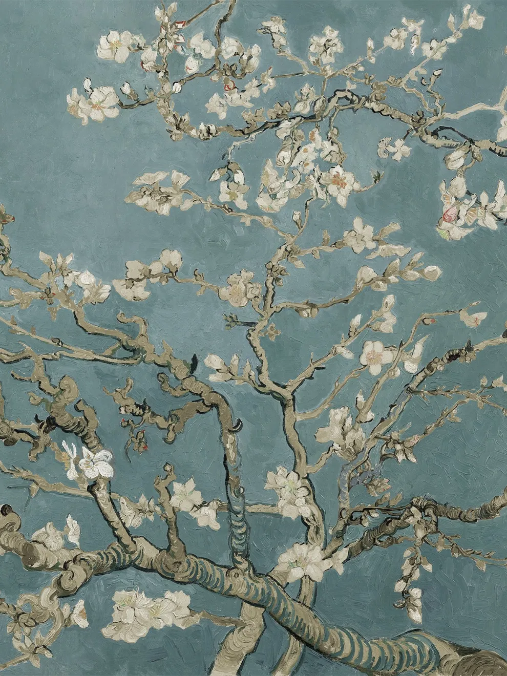 Van Gogh Almond Blossom Oil Paint Wallpaper Mural