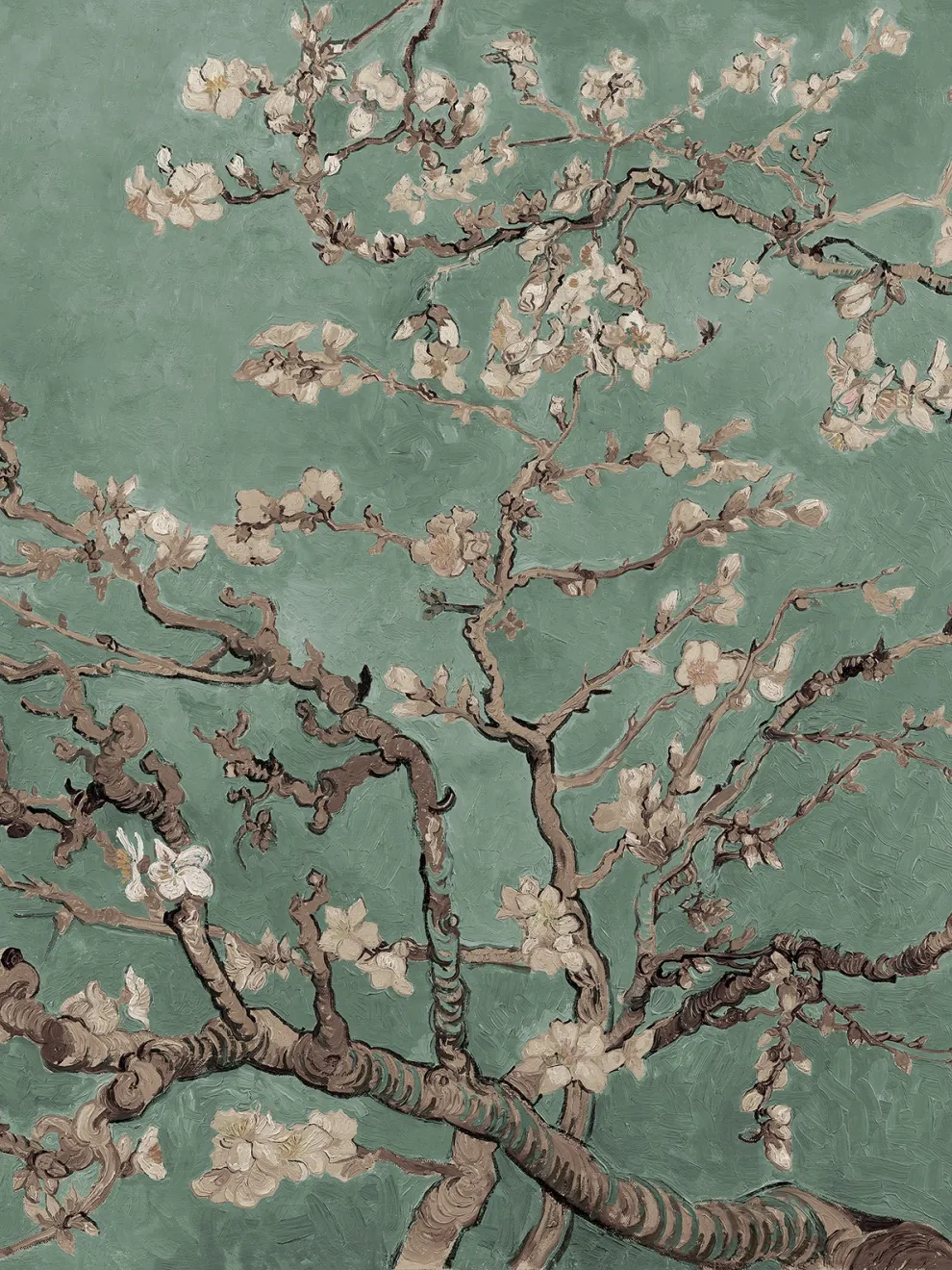 Van Gogh Almond Blossom Oil Paint Wallpaper Mural
