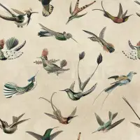 Antique Hummingbirds Wallpaper Mural