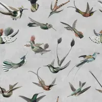 Antique Hummingbirds Wallpaper Mural