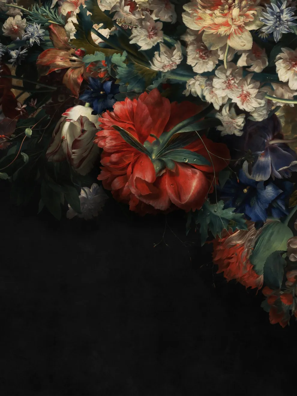 Elegant Dark Floral Blooms Wallpaper Mural