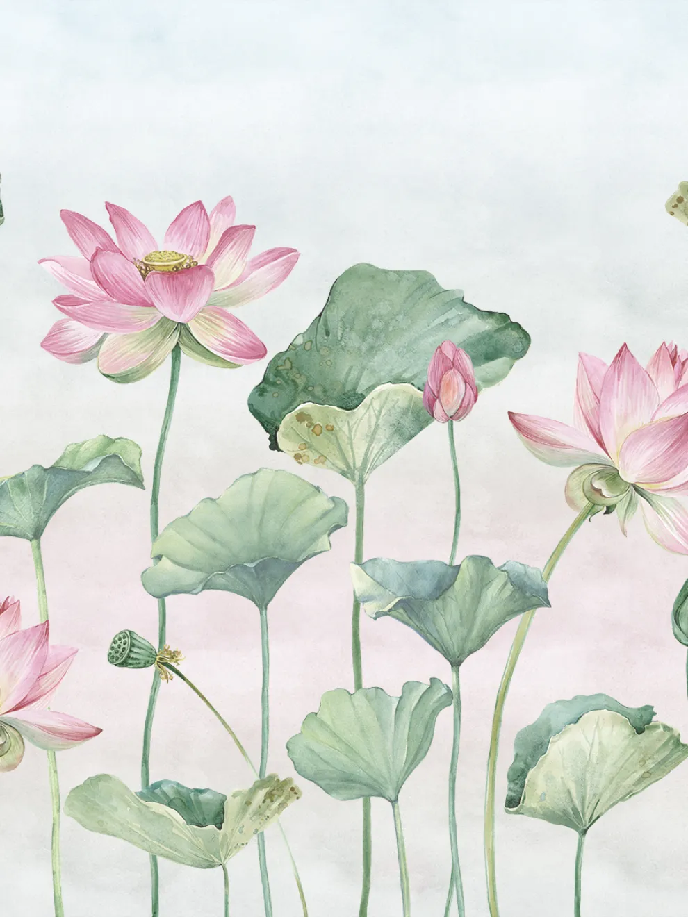 Watercolor Lotus Flower Wallpaper Mural