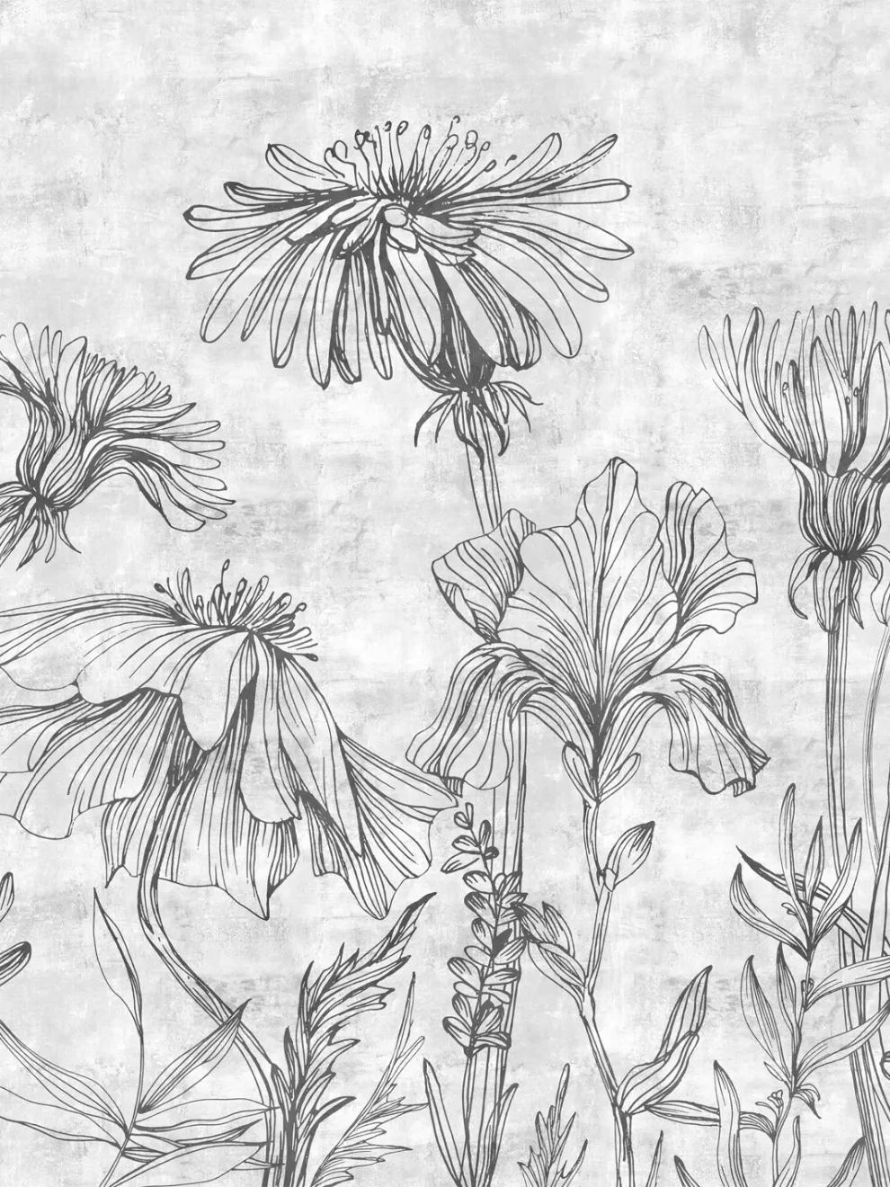 Sketchbook Wildflowers Monochrome Wallpaper Mural