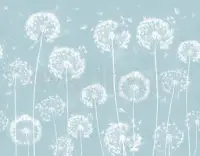 Serene Dandelion Wisps Kids Room Wallpaper