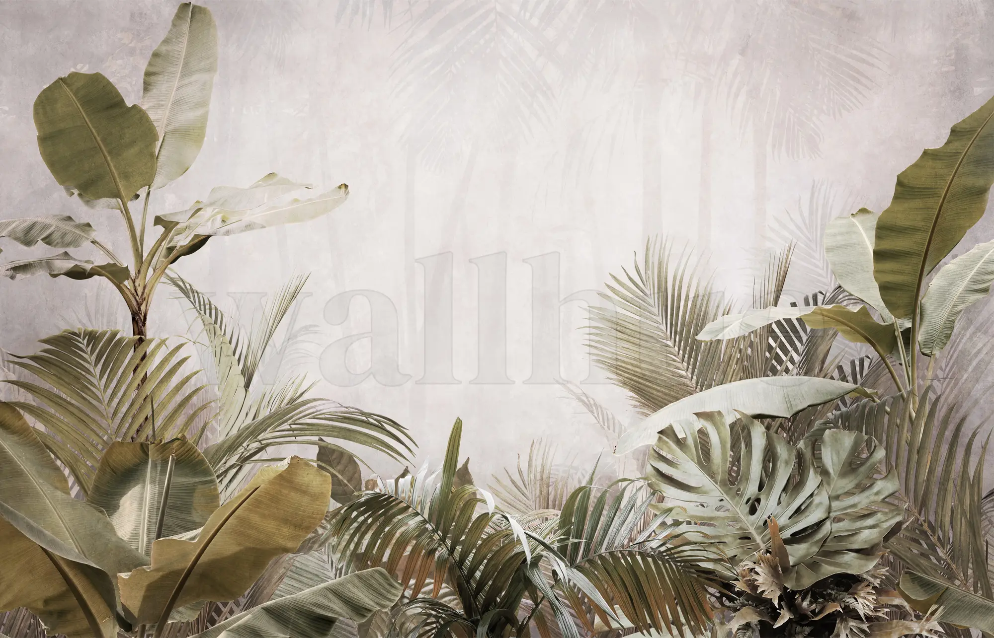 Tropical Rainforest Palm Wallpaper Mural