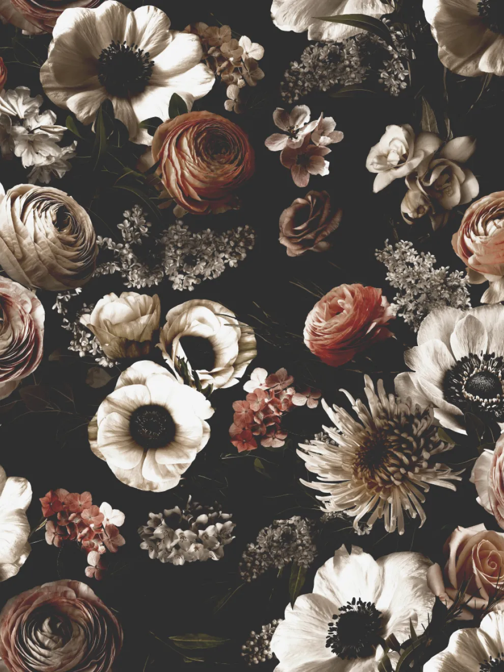 Midnight Florals Elegant Wallpaper Mural