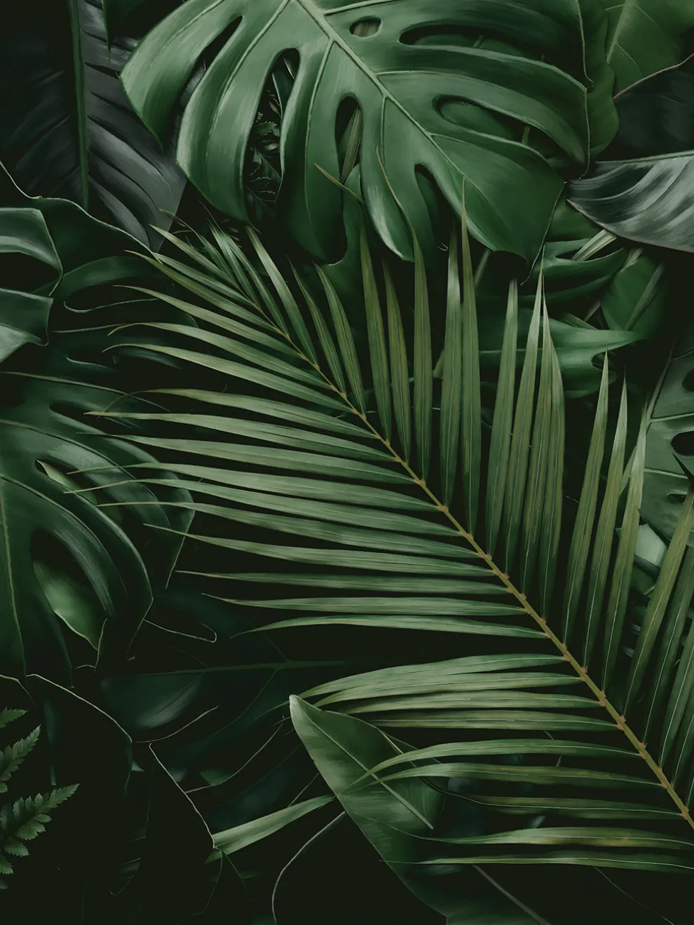 Tropical Jungle Leaves Wallpaper Mural