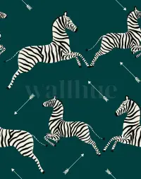 Wildlife Zebra with Arrows Wallpaper Mural