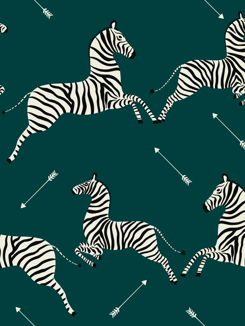 Wildlife Zebra with Arrows Wallpaper Mural