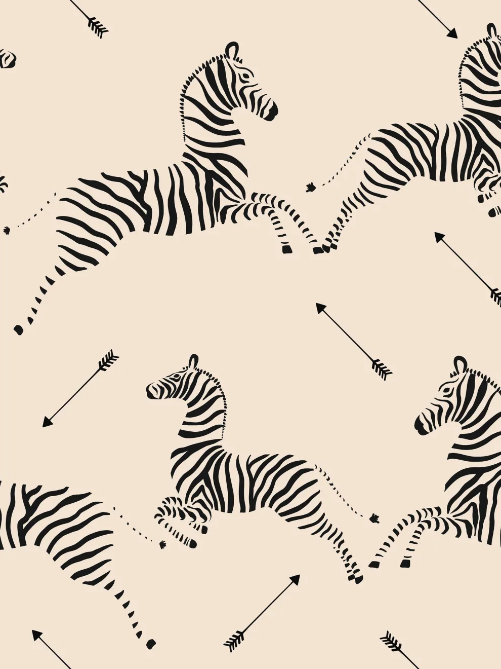 Wildlife Zebra with Arrows Wallpaper Mural