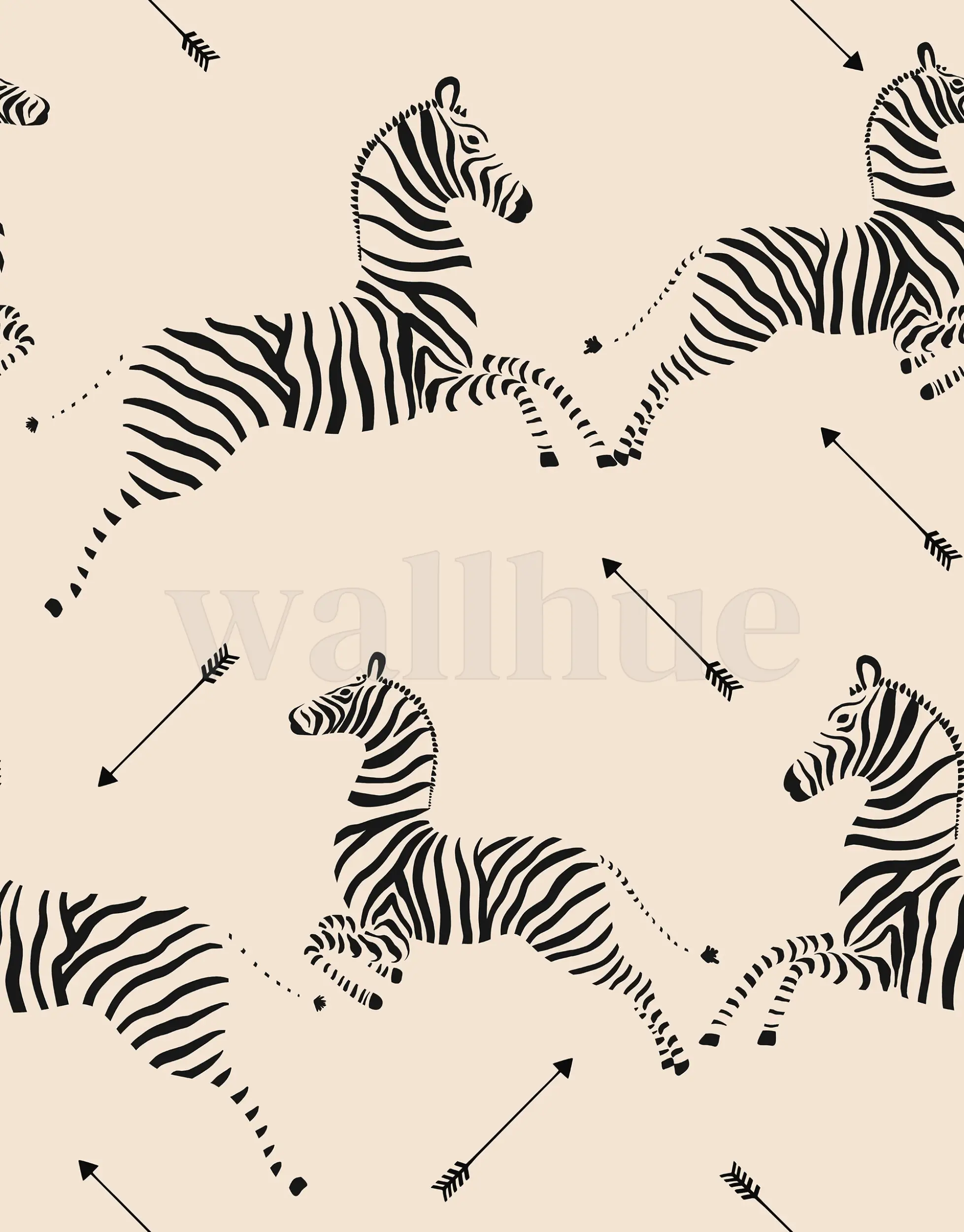 Wildlife Zebra with Arrows Wallpaper Mural