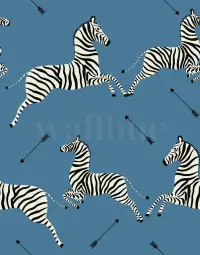 Wildlife Zebra with Arrows Wallpaper Mural