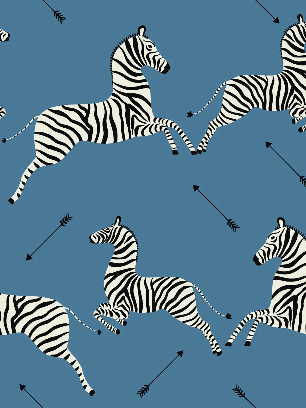Wildlife Zebra with Arrows Wallpaper Mural