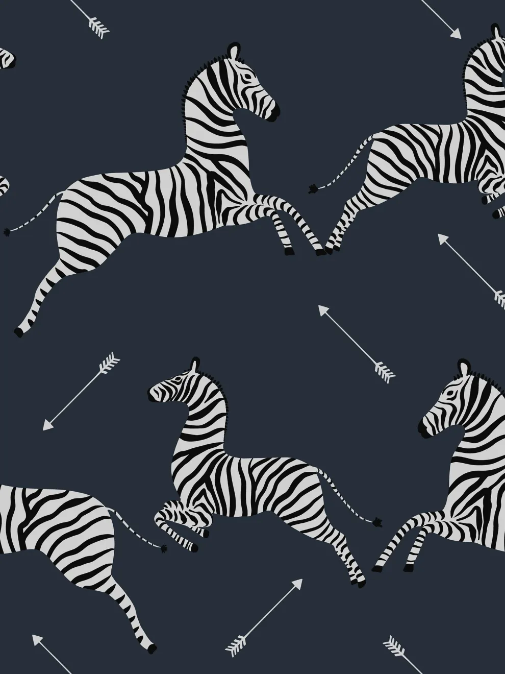 Wildlife Zebra with Arrows Wallpaper Mural