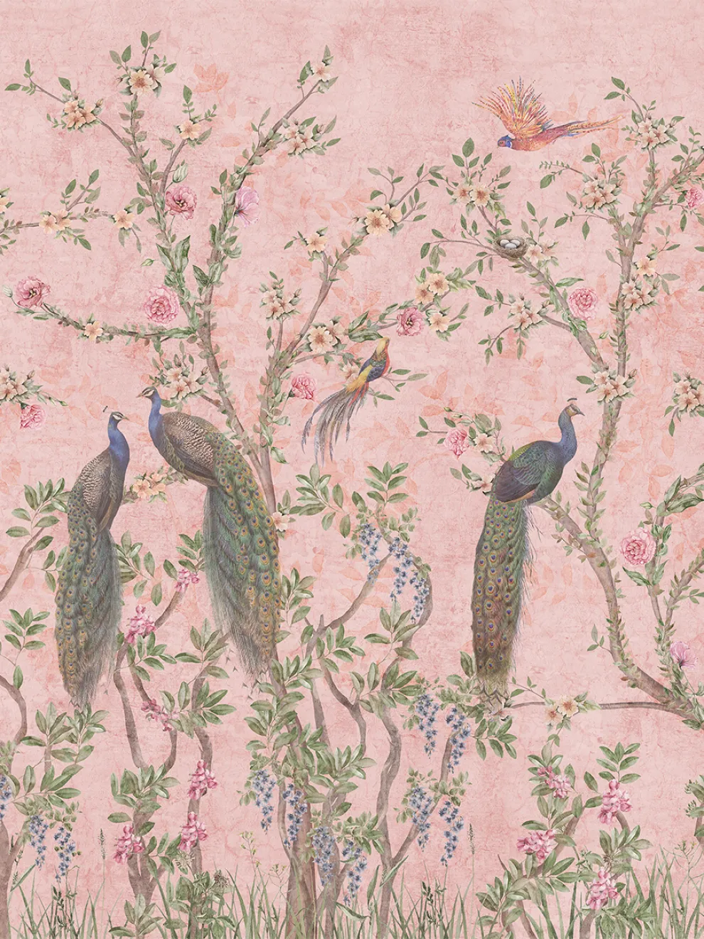 Floral Elegance Peacock Rose Garden Wallpaper Mural