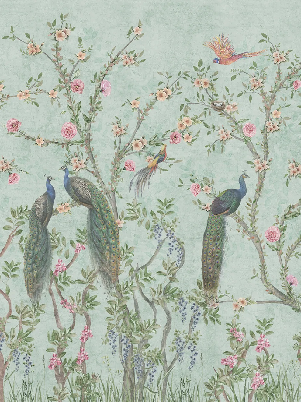 Floral Elegance Peacock Rose Garden Wallpaper Mural