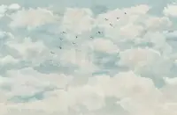Soothing Skies Bird Flight Panoramic Wallpaper
