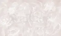 Soft Bohemian Elegance Flower Wallpaper Mural