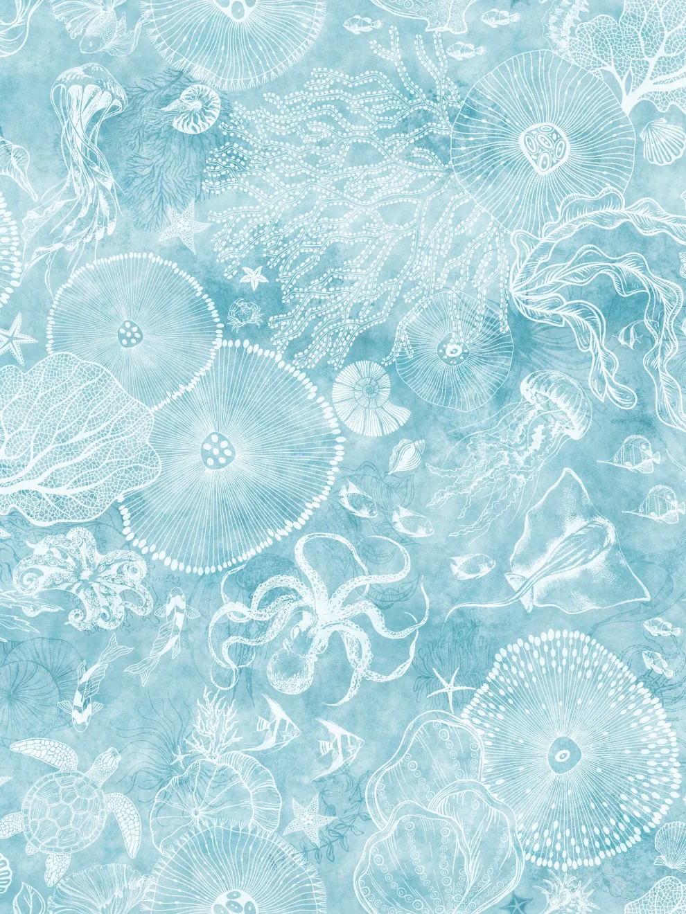Aqua Marine Life Ocean Wallpaper Mural