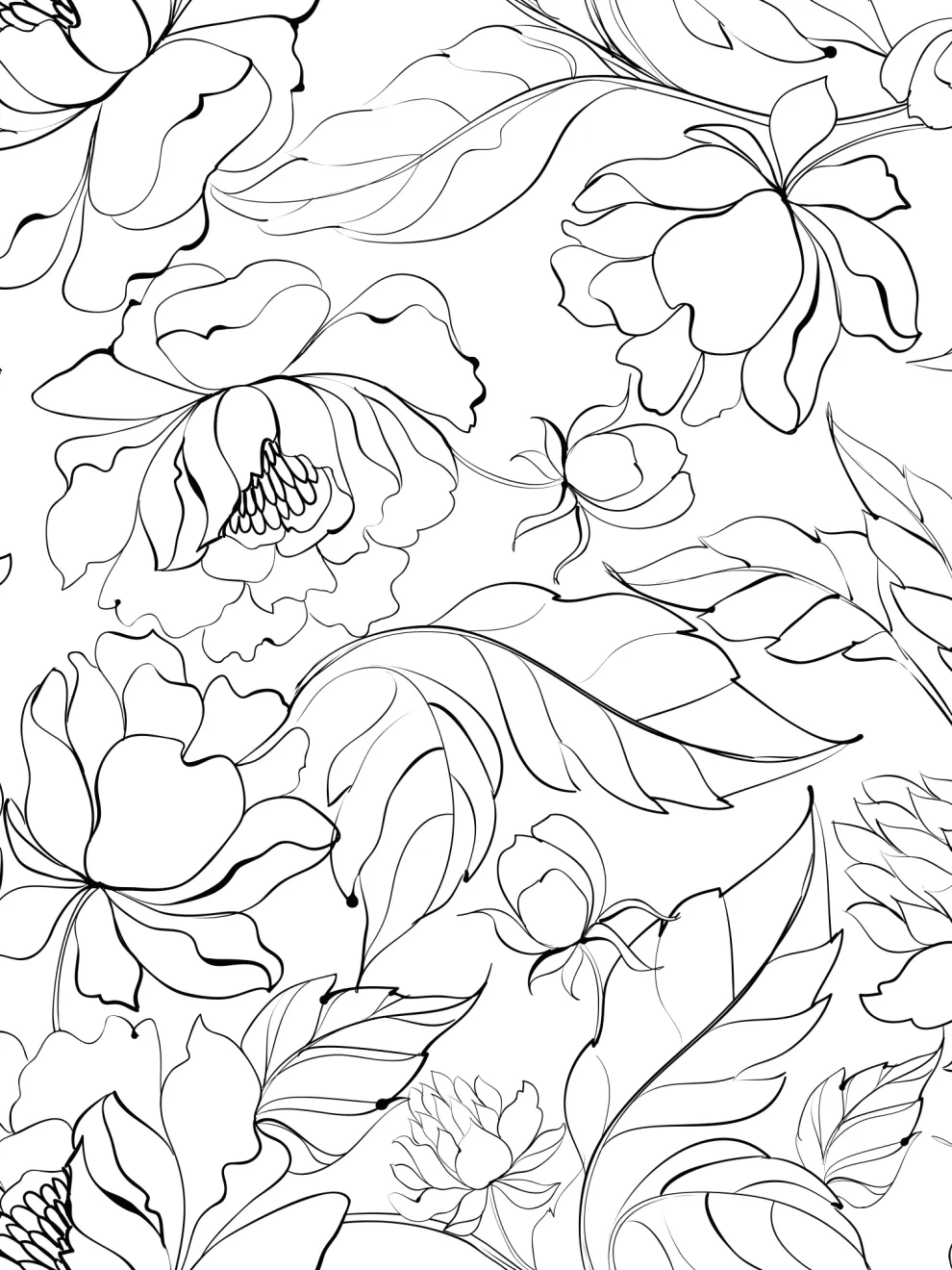 Modern Black White Floral Drawing Wallpaper Mural