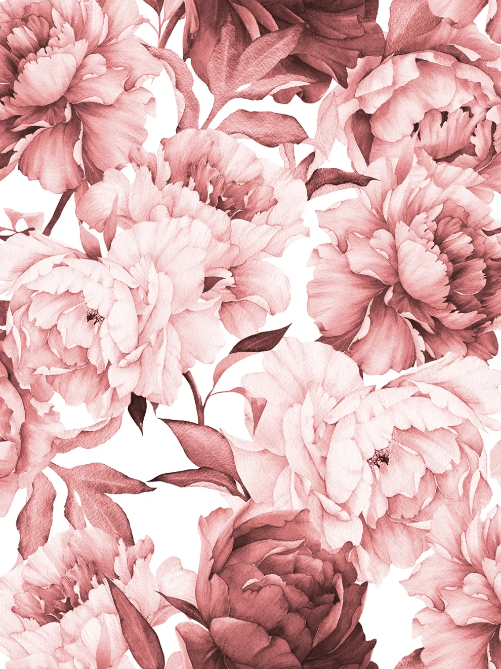 Soft Rose Floral Delicacy Wallpaper Mural
