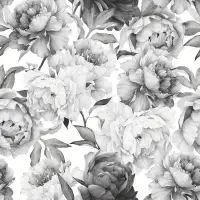 Soft Rose Floral Delicacy Wallpaper Mural