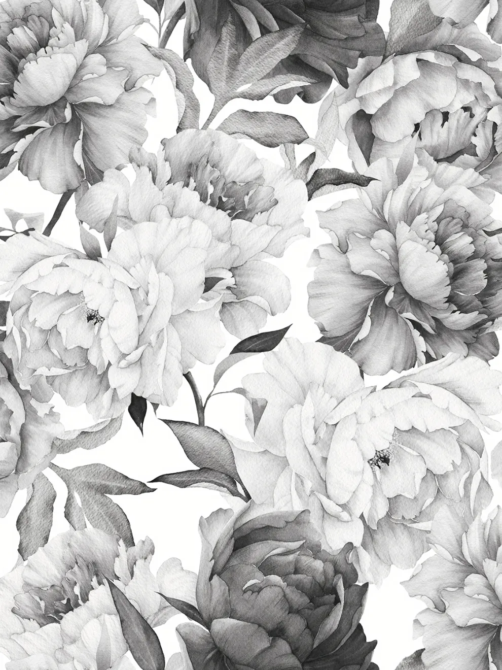 Soft Rose Floral Delicacy Wallpaper Mural