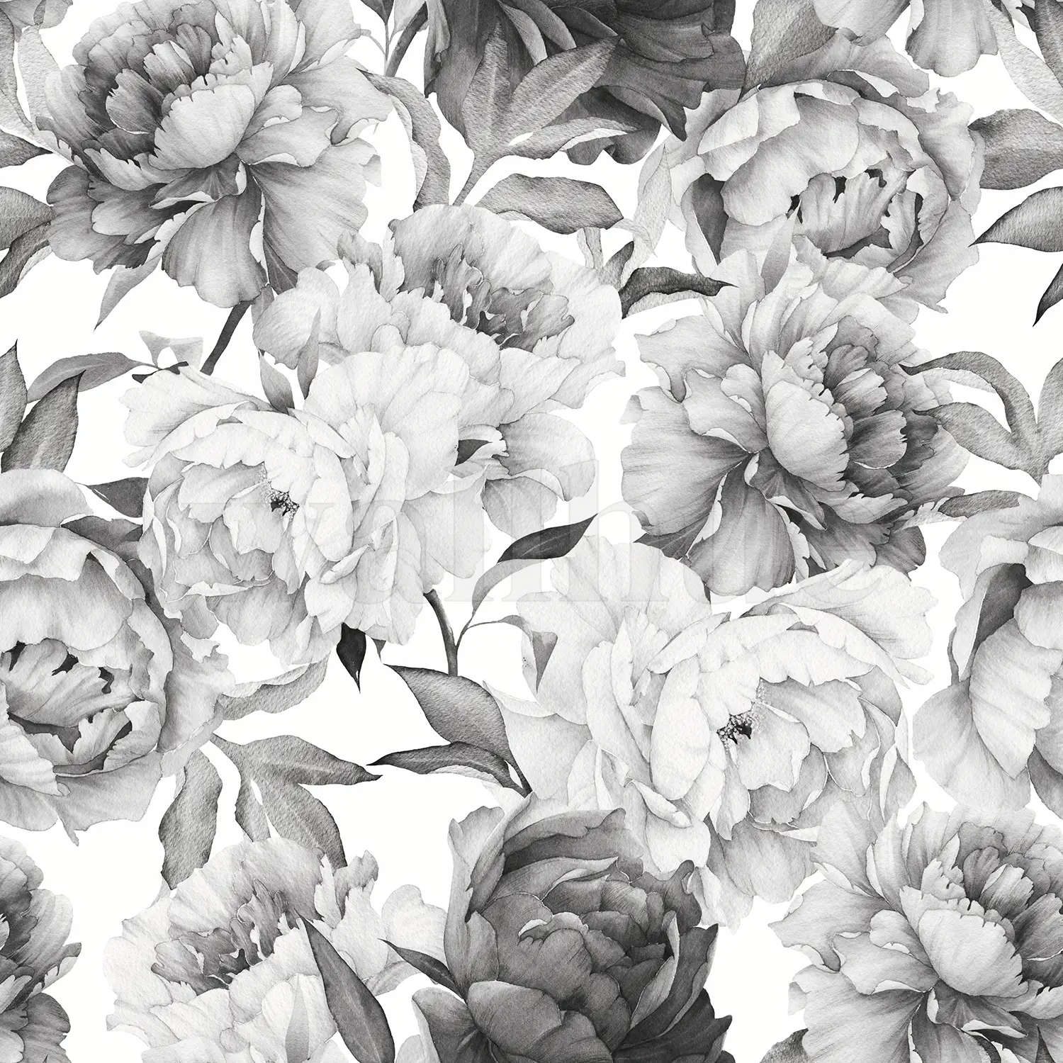 Soft Rose Floral Delicacy Wallpaper Mural