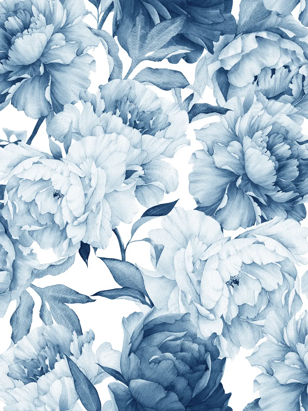 Soft Rose Floral Delicacy Wallpaper Mural