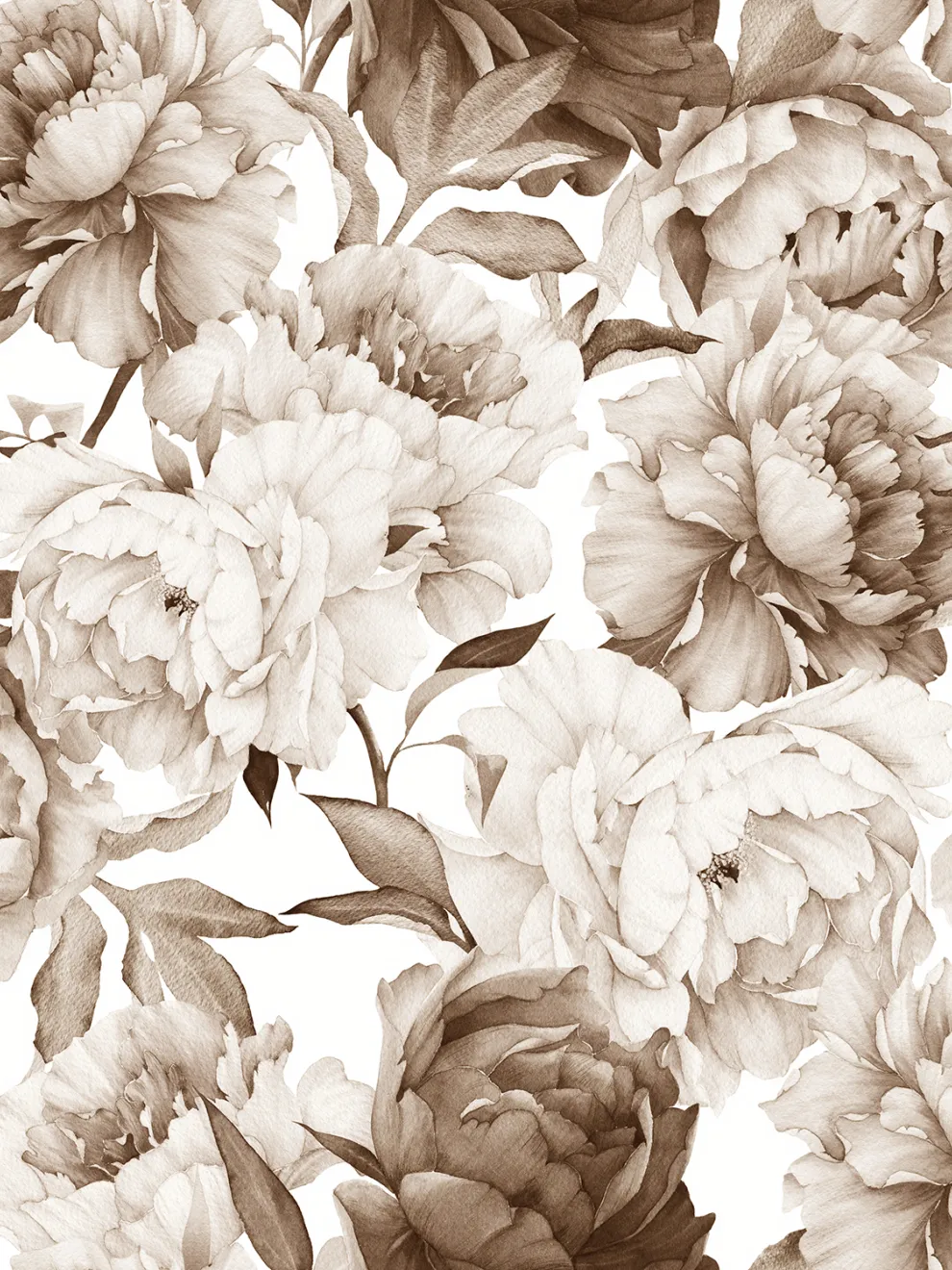 Soft Rose Floral Delicacy Wallpaper Mural