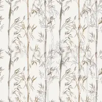 Zen Bamboo Serenity Nature Wallpaper Mural
