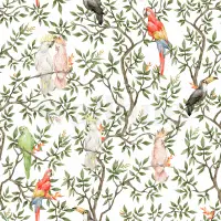 Colorful Parrots Paradise Botanical Wallpaper Mural