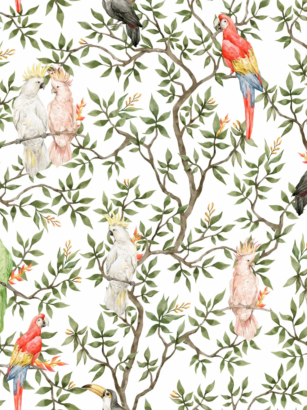 Colorful Parrots Paradise Botanical Wallpaper Mural
