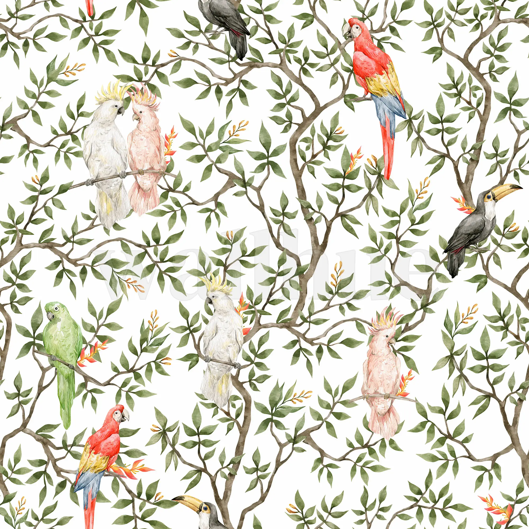 Colorful Parrots Paradise Botanical Wallpaper Mural