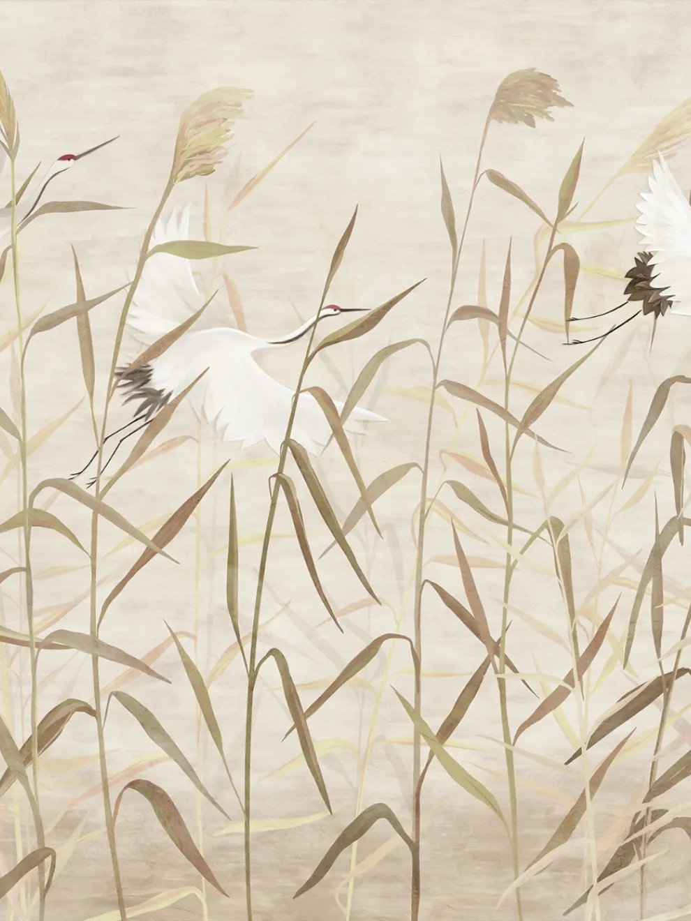 Graceful Cranes in Reeds Neutral Wallpaper Mural