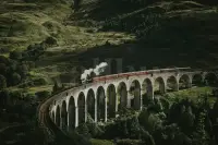 Classic Train in Forest Wallpaper Mural