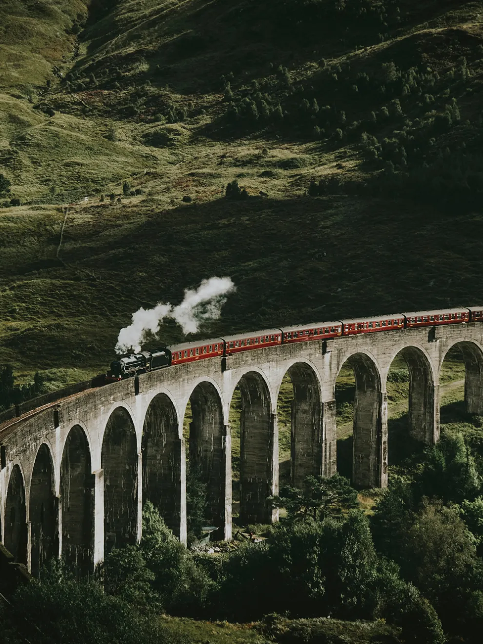 Classic Train in Forest Wallpaper Mural