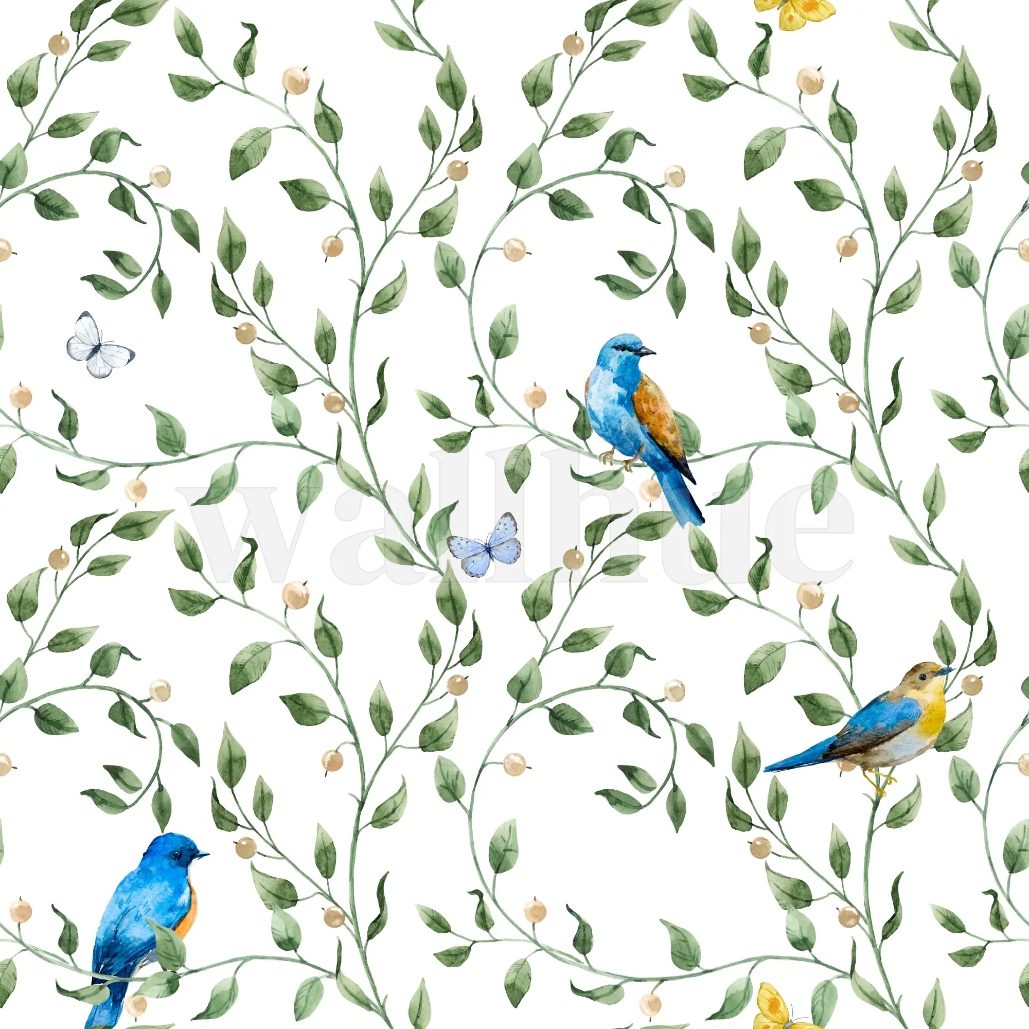 Exotic Colorful Birds Watercolor Wallpaper Mural