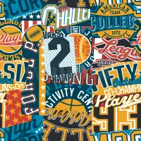 Sport Collage Championship Wallpaper Mural
