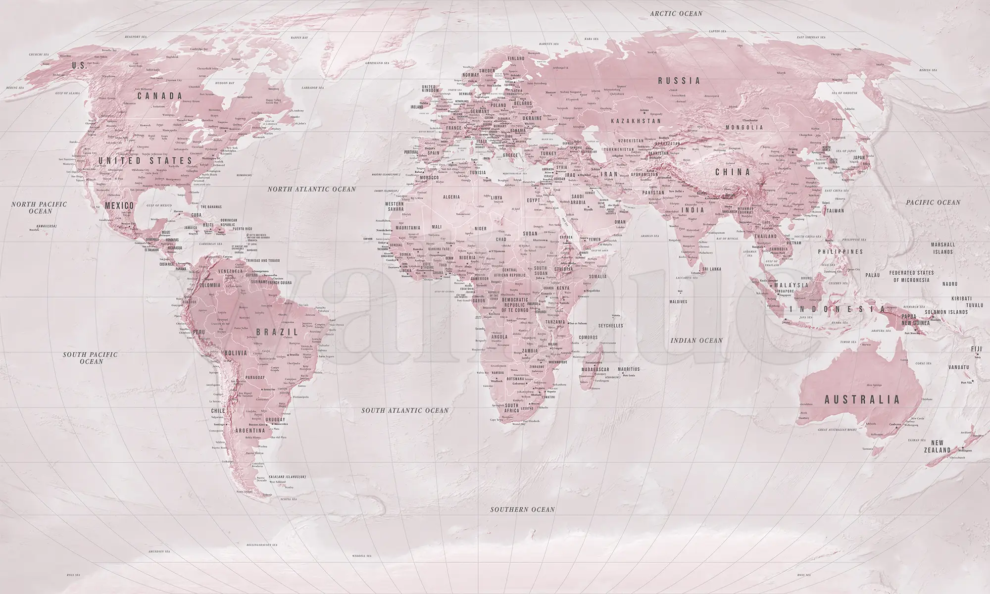 Global Geographic  World Map Wallpaper Mural