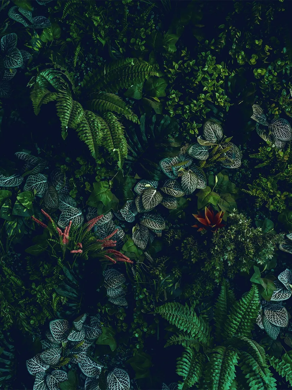 Elegant Botanical Jungle Greenery Wallpaper Mural