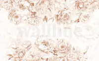 Elegant Pastel Peony Floral Wallpaper Mural