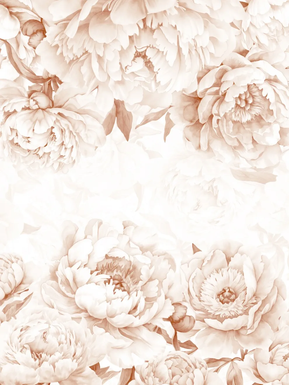 Elegant Pastel Peony Floral Wallpaper Mural