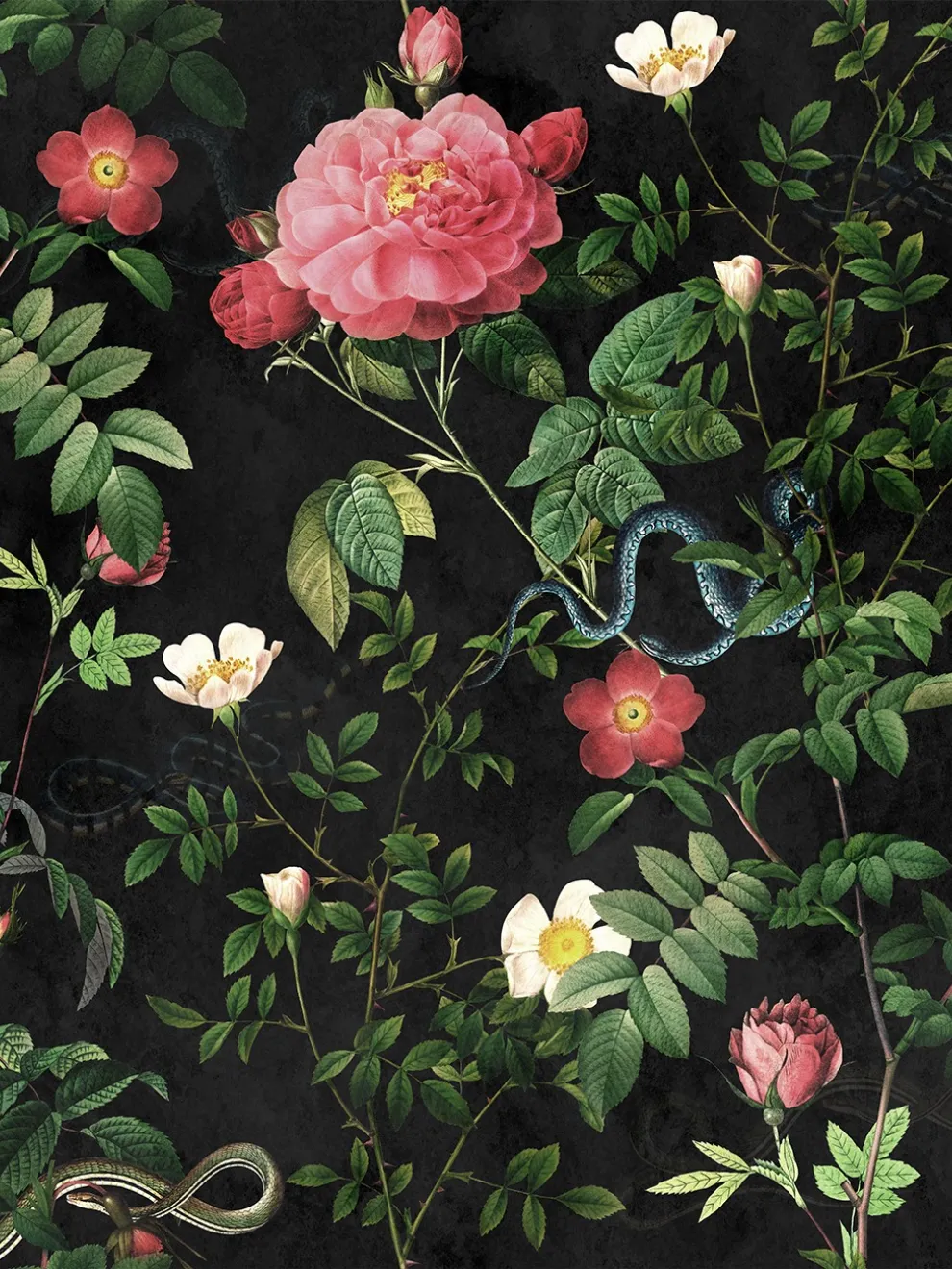 Vintage Botanical Floral Garden Dark Wallpaper Mural