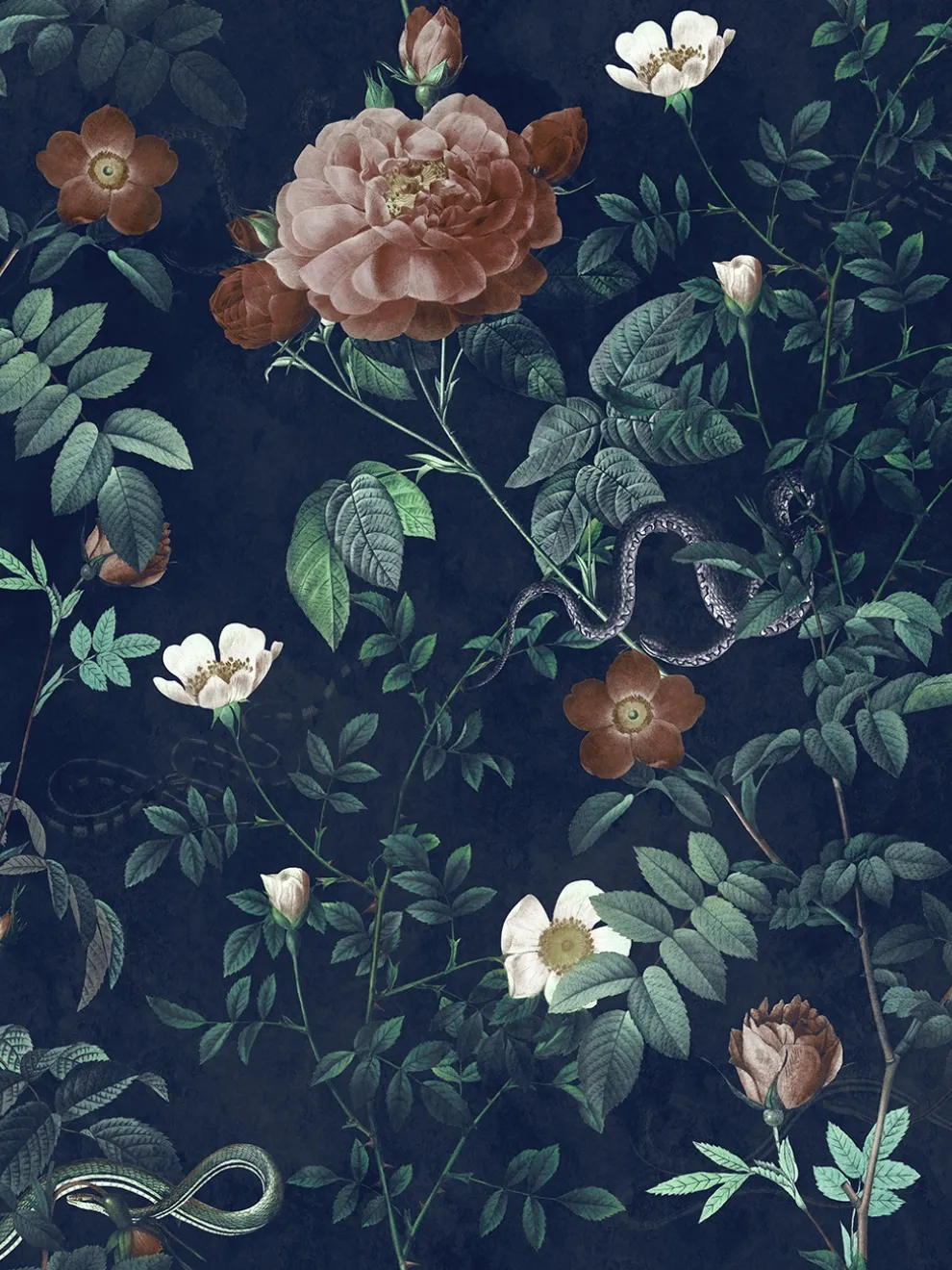 Vintage Botanical Floral Garden Dark Wallpaper Mural